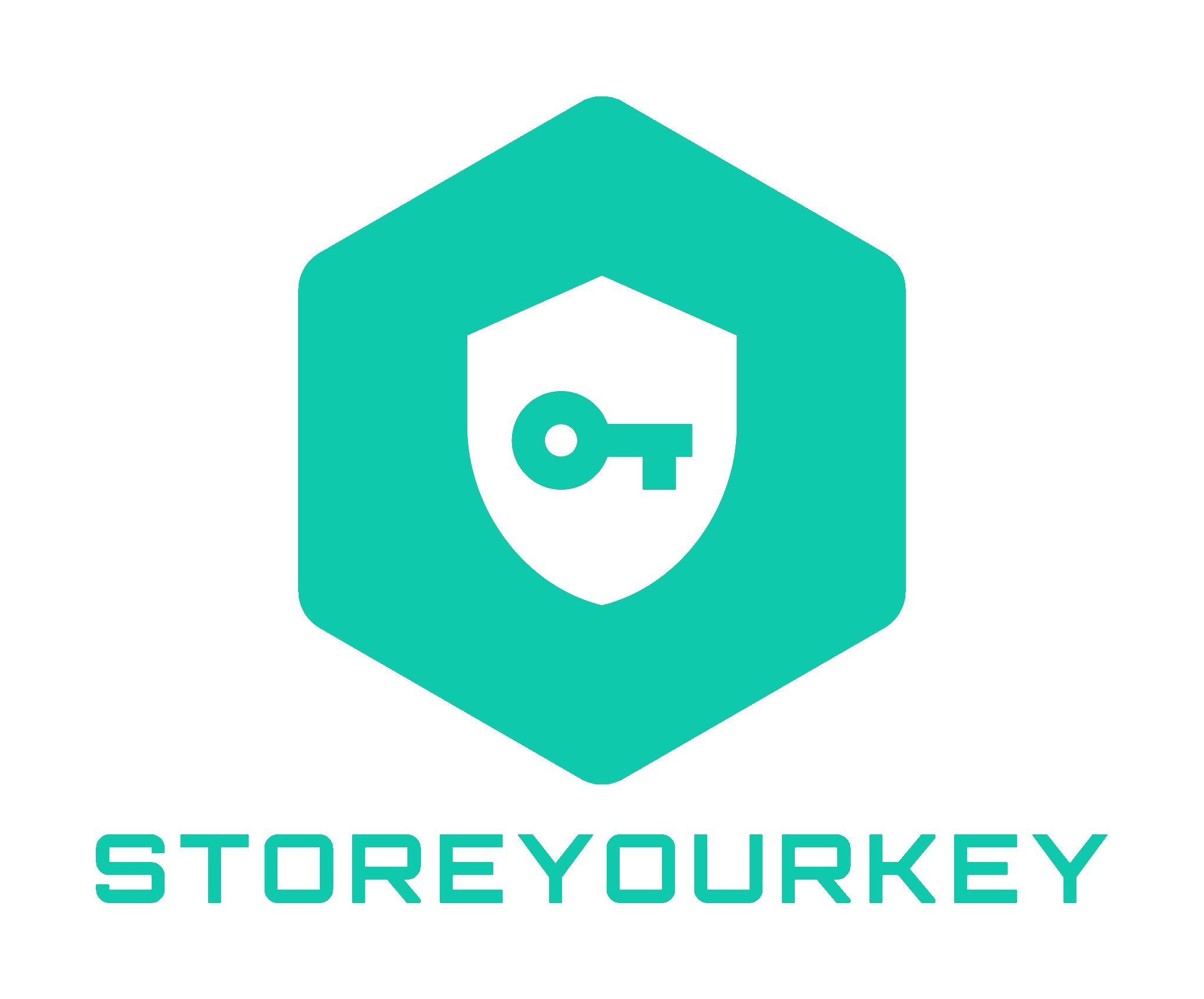 StoreYourKey Logo